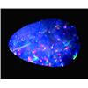 1.87ct Australian Black Opal Doublet Full Fire (GEM-22608A)