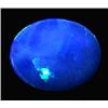 1.69ct Australian Black Opal Doublet Full Fire (GEM-22615A)