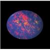 1.8ct Australian Black Opal Doublet Full Fire (GEM-22617A)