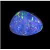 1.19ct Australian Black Opal Doublet Full Fire (GEM-22619D)