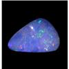 3.46ct Australian Black Opal Doublet Full Fire (GEM-22597A)