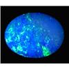 1.48ct Australian Black Opal Doublet Full Fire (GEM-22614B)
