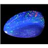 2.15ct Australian Black Opal Doublet Full Fire (GEM-22616A)