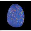 1.46ct Australian Black Opal Doublet Full Fire (GEM-22600C)