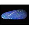 2.27ct Australian Black Opal Doublet Full Fire (GEM-22611C)