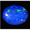 1.25ct Australian Black Opal Doublet Full Fire (GEM-22613E)