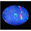 1.05ct Australian Black Opal Doublet Full Fire (GEM-22612F)