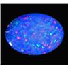 1.09ct Australian Black Opal Doublet Full Fire (GEM-22612C)