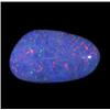3.54ct Australian Black Opal Doublet Full Fire (GEM-22601C)