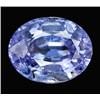 1.63ct Oval Natural Gem Violet Blue Tanzanite  Appraisal Estimate $3260 (GEM-20045)