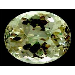 48.50ct Natural Top Beautiful Yellow Kunzite Appraisal Estimate $7518 Appraisal Estimate $9700 (GEM-