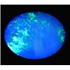 1.63ct Australian Black Opal Doublet Full Fire (GEM-22614E)