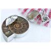 88ctw  Ammonite Fossil Gold Vermeil Pendant (JEW-1301)