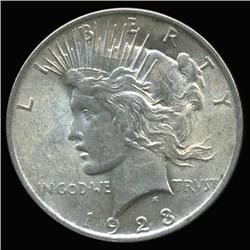 1923 Peace Dollar Choice Unc (COI-6276)
