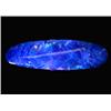1.87ct Australian Black Opal Doublet Full Fire (GEM-22610E)