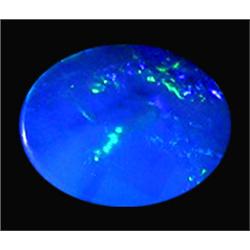1.73ct Australian Black Opal Doublet Full Fire (GEM-22615B)