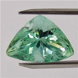 13.05ct Natural Deep Patroke Green Kunzite Trillion VVS Appraisal Estimate $1331 Appraisal Estimate 