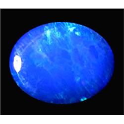 1.7ct Australian Black Opal Doublet Full Fire (GEM-22615F)