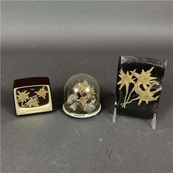 3pc Mid-Century Alpine Souvenir Displays with Dried Edelweiss Flowers