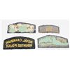 Image 2 : #256 Royal Canadian Mounted Police Shoulder Titles