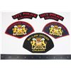 Image 1 : #263 Calgary Police Law Enforcement Patch Lot