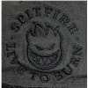 Image 2 : #865 Spitfire Live to Burn Baseball Cap