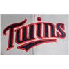 Image 2 : #866 Minnesota Twins MLB Baseball Cap