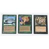 Image 1 : #896 1995 Magic The Gathering Card Lot Mind Whip