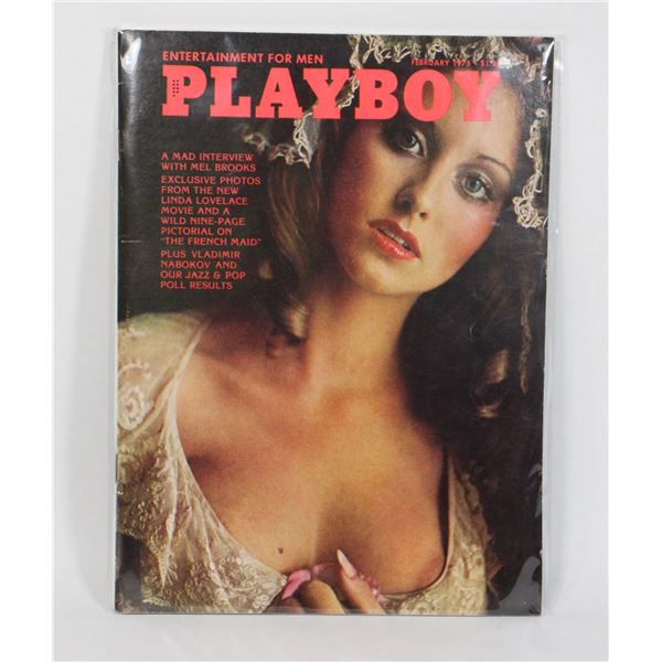 #1031 Playboy Magazine February 1975