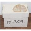 Image 1 : #1309 Comic Mystery Short Box 120+ Comics