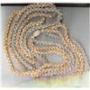 Image 14 : Niihau Triple-Strand Shell Lei, Pikake Style w/ COA 40"L