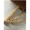 Image 4 : Niihau Triple-Strand Shell Lei, Pikake Style w/ COA 40"L