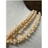 Image 6 : Niihau Triple-Strand Shell Lei, Pikake Style w/ COA 40"L