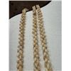 Image 8 : Niihau Triple-Strand Shell Lei, Pikake Style w/ COA 40"L