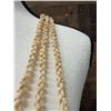 Image 9 : Niihau Triple-Strand Shell Lei, Pikake Style w/ COA 40"L