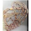 Image 16 : Niihau Triple-Strand Shell Lei Kipona w/ COA 38"L