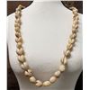 Image 1 : Cowrie Shell Double String Lei 36"L