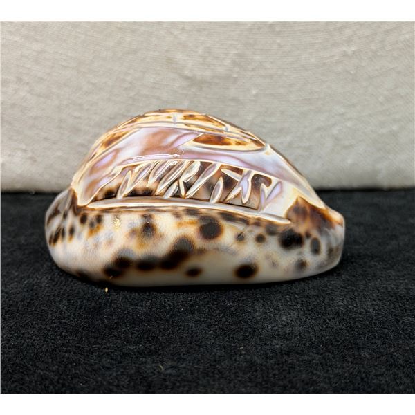 Cowrie Shell w/ Carved Honu Sea Turtle 3.5" x 1.5"H