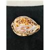 Image 2 : Cowrie Shell w/ Carved Honu Sea Turtle 3.5" x 1.5"H