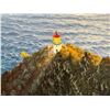 Image 2 : Makapuu Lighthouse Original Oil Painting by Daniel Kim '05, Unframed 20" x 16"