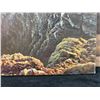 Image 4 : Makapuu Lighthouse Original Oil Painting by Daniel Kim '05, Unframed 20" x 16"