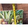 Image 10 : Coconut Palm Artwork by School of Daniel Kim Artist Young Chui, Unframed 20" x 16"