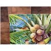 Image 3 : Coconut Palm Artwork by School of Daniel Kim Artist Young Chui, Unframed 20" x 16"