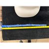 Image 8 : Vintage Domed Hawaiian Pheasant Feather Hat Band Lei on Flannel (Rare) 25"L