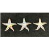 Image 1 : Qty 3 Hawaii Glass Co. Starfish Pendants 2" Dia