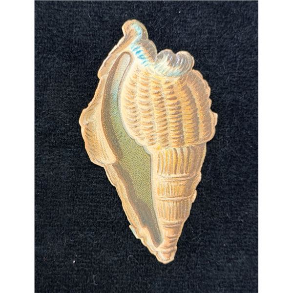 Victorian Sea Shell Lithograph Scrap Circa 1860 (Rare) 2.5"L