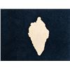 Image 4 : Victorian Sea Shell Lithograph Scrap Circa 1860 (Rare) 2.5"L