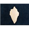 Image 5 : Victorian Sea Shell Lithograph Scrap Circa 1860 (Rare) 2.5"L