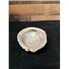 Image 5 : Large Crusted Abalone Shell 6" x 5" x 2"H