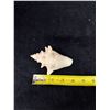 Image 6 : Small Queen Conch Shell 4" x 3" x 2"H